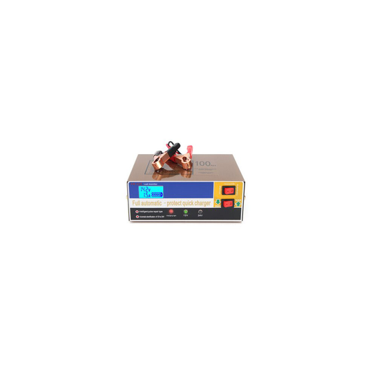 110V 12V/24V 100AH Electric Battery Charger Intelligent Pulse Repair Type