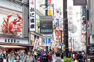 Private Arrival Transfer : Kansai International Airport to Osaka City
