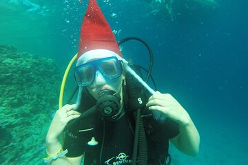 Marsa alam Sea Snorkeling and One intro Diving With Lunch, Transfer - Marsa Alam