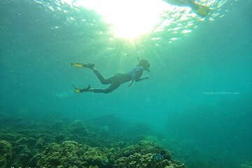 OnBird - Private snorkel adventure - explore PQ Half-moon reef & Coral Mountain