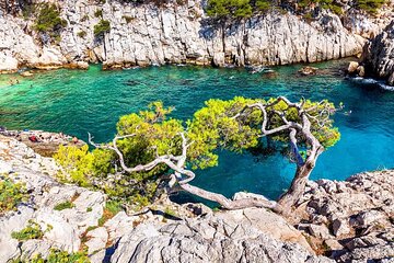 Swimming and Snorkeling in a Calanque in the Frioul Islands Marseille