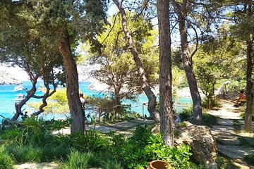 Rhodes to Anthony Quinn E-Bike & Snorkelling Tour