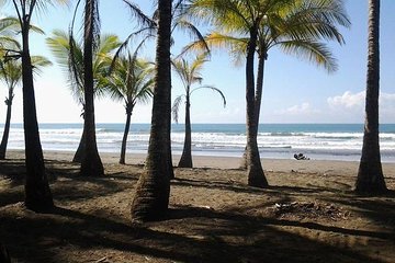 Nauyaca Waterfalls Hike and Surf Lessons