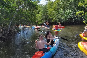 Island City ECO Paddle & Lesson: Explores Nature Preserve Tropical Wild Life