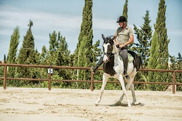 Lesson and horseback ridings in the countryside