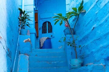 Experience Cooking Classes With Blue City Walking Tour