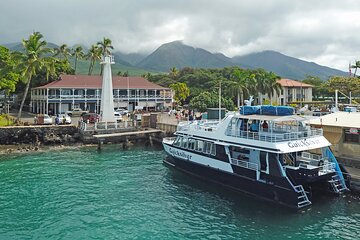 From Lahaina Harbor: Turtle Town Afternoon Snorkel Aboard the Quicksilver