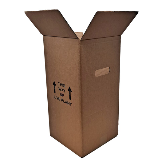 Live Plant / Flowers Shipping Postal Cardboard Box with Handholes Printed (10PK)