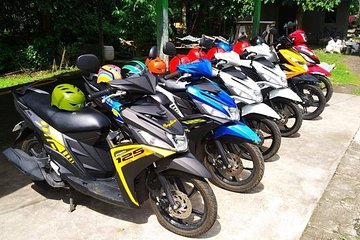 Camiguin Transport - Car-Van-MotorBike