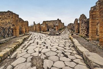Half-Day Pompeii Private Tour from Sorrento