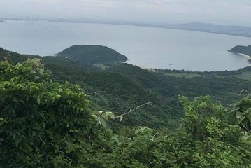 Day Trip to Elephant Spring (Waterfall) via Hai Van Pass and Lap An Lagoon