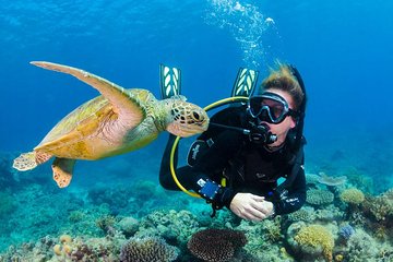 Scuba Diving & Snorkeling on Catalina Island | 2 tanks, 2 spots