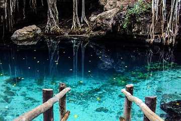Cenote Personalise Adventure Tours