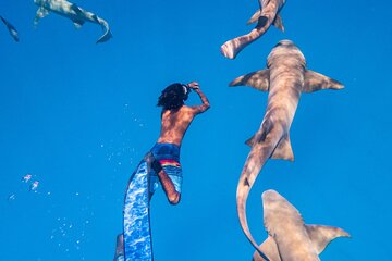 Maafushi: Nurse shark & Dolphin snorkeling with Coral garden experience