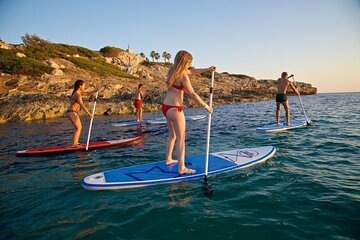 Rent a paddle surf board in BahÃa de Palma