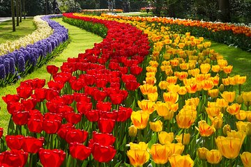 Keukenhof 2023 Private Floral Tour (23rd of March - 14th of May 2023)