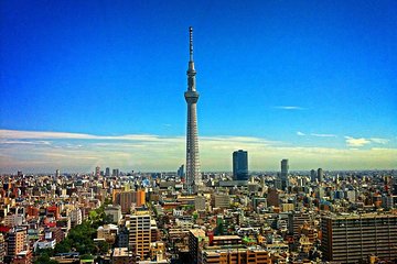 Shared Arrival Transfer : Narita International Airport to Hotel (Central Tokyo)
