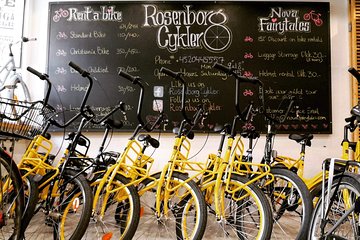 Bike rental in Copenhagen/Standard Bike 24 hours