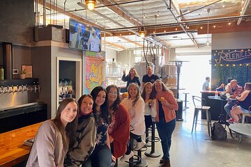 Temecula 3 Brewery Tour w/ 4-6 Beer/Sour Tastings w/ Picnic Dinner