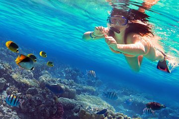 Krabi Snorkeling Tour