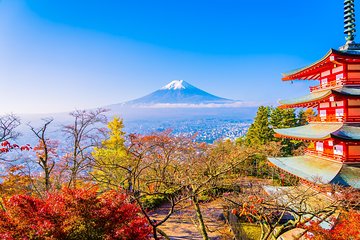 1 Day Private Mt Fuji Sightseeing Tour Car/Van with "English Speaking Driver"