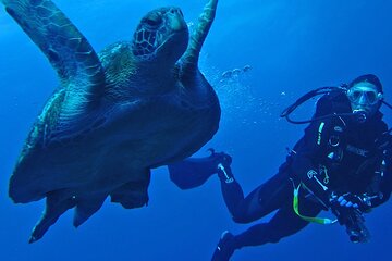 Multi-options 7-Days Tour in Galapagos Islands