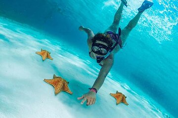 Snorkeling tour in Cozumel Island. Get to know El Cielo, Palancar and Colombia