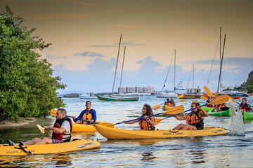 Bio Bay Night Kayaking | Laguna Grande, Fajardo