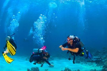 Roatan Reactive-Refresher Dive Course