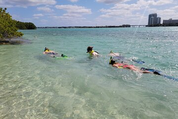 Island Snorkeling by Kayak or Stand Up Paddle Board in Bay Vista