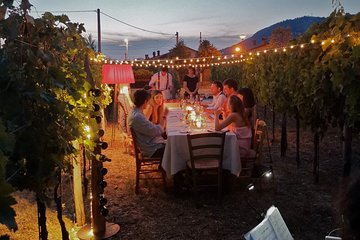 Aperitif / Tasting in a Vineyard of Lucca with transfer