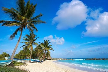 Cozumel Island Private Excursion by Van