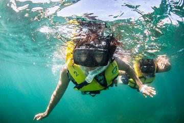 Snorkel, Lunch & Sail (Los Cabos)