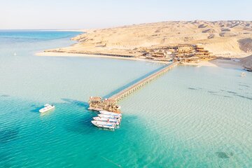 From Hurghada: Orange Bay Snorkeling Trip with Lunch