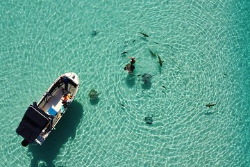 Snorkeling excursion, discovery of the lagoon and its fauna. Intimate vessel.