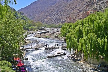 Privat Day Trip to Ourika Valley from Marrakech