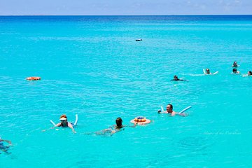 Tropical Catamaran Snorkeling, Sailing And Beach Experience