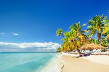 Saona Island and snorkeling from Punta Cana