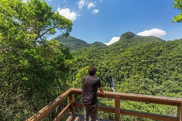 Private 6-hour Hiking Tour in the Tijuca Forest: Waterfalls, Viewpoints & Picnic