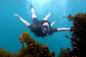 5 days excursion to Galapagos Islands with Snorkel and Volcanoes