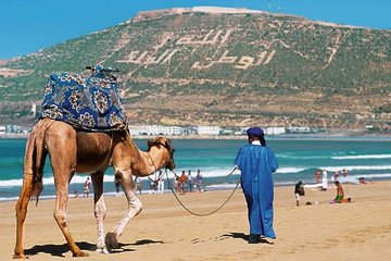 Private Premium Transfert From / To Marrakech To / From Agadir