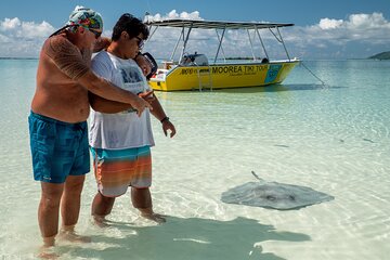 Snorkeling excursion and encounter with marine fauna in Moorea