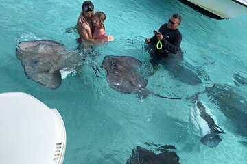 4-Hour Private Guided Snorkeling in Stingray City & Starfish Point