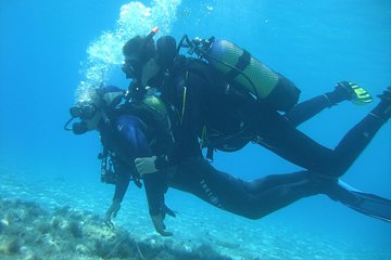 Submarine Baptism and Snorkeling with Sea Lions in Puerto Madryn from Pier