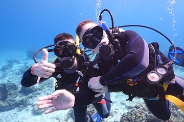 Carnival Super Snorkeling From Hurghada