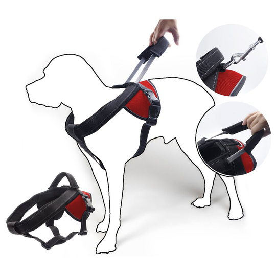 (Red, M) No Pull Dog Harness with Integrated Short Leash