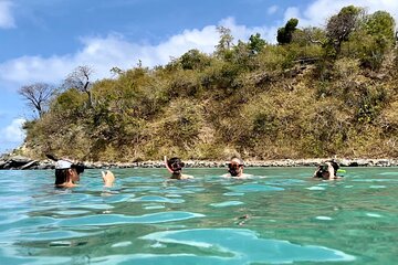 Half Day St. John Turtle Snorkel and Cays