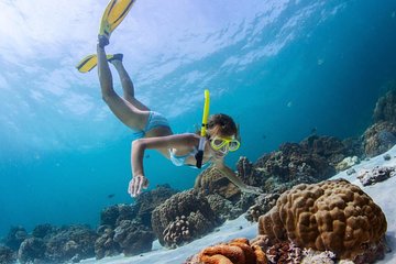 Day Trips, Snorkeling, Speed Boat Tours, Bamboo Island