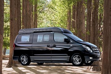 Private Van Tour to Nami Island, Petite France & More (Up to 10 or 16 pax)