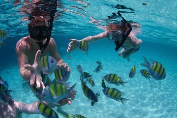 Bali Best SNORKELING at BLUE LAGOON and EAST BALI TOURS